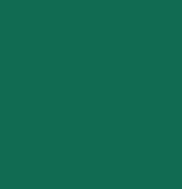 Co-Director of Education and Educational Policy